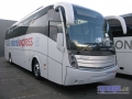 Caetanobus01