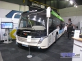 Caetanobus03