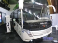 Caetanobus04