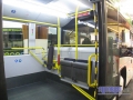 Caetanobus05