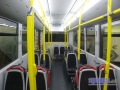 Caetanobus06