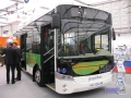 gepebus01