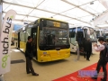 GoldenDragon01