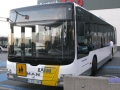 neoman31