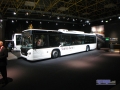 scania13