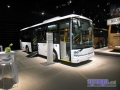 Temsa11