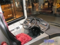 Temsa20