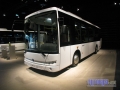 Temsa21