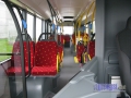 VanHool33
