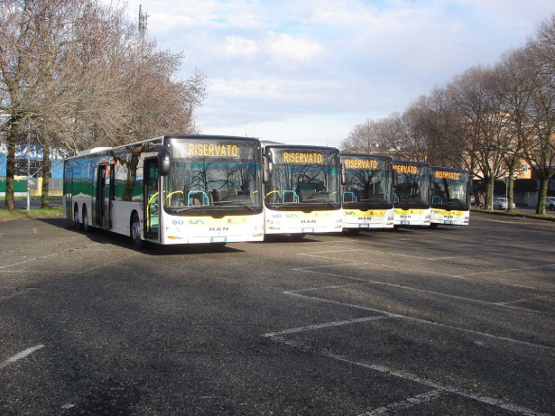 man_novara1