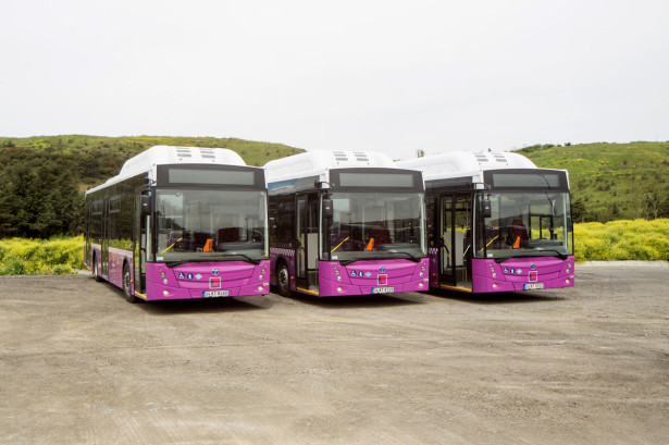temsa_avenue_cng2