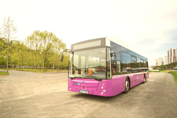 temsa_avenue_cng4