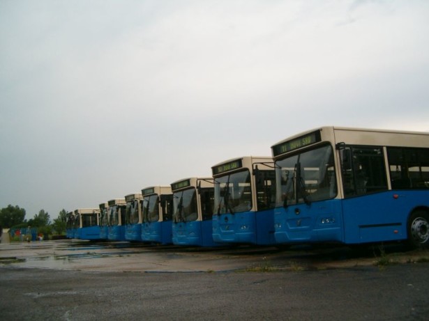neobus_jgsp_novi_sad