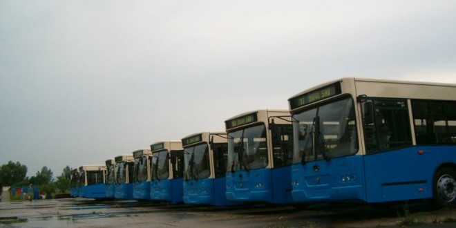 Novi Sad ima para samo za 5 novih autobusa