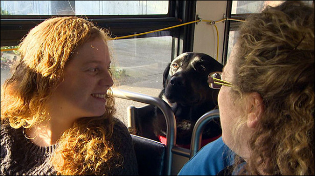 pas_eclipse_bus1