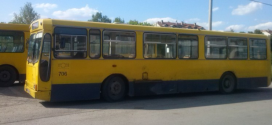 BG: Letnji red vožnje i sezonske autobuske linije do Ade Ciganlije