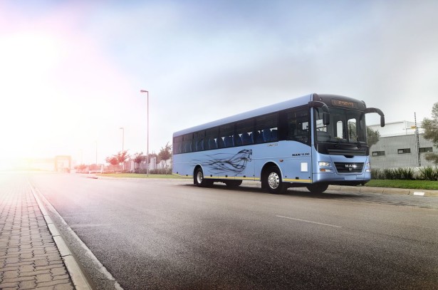 P_Bus_EOT_MANLionsExplorer-01