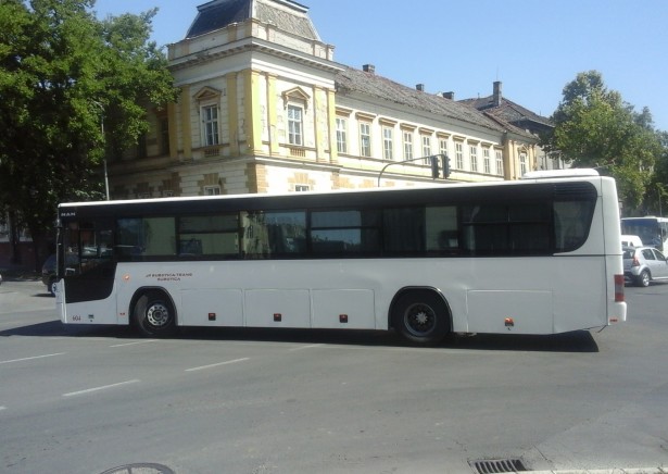 sutranspolovnisu313
