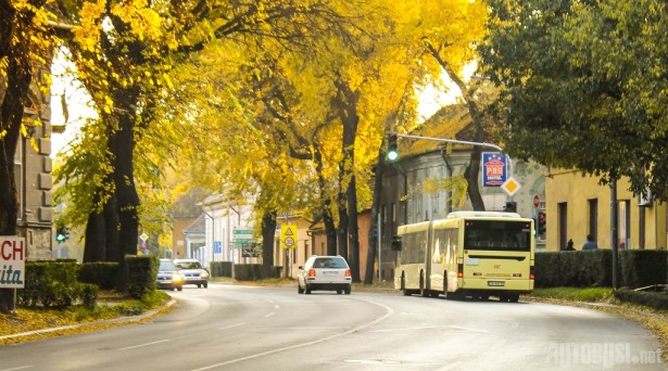 MAN A23 iz prethodne nabavke polovnjaka. Foto: Dušan Dakić.