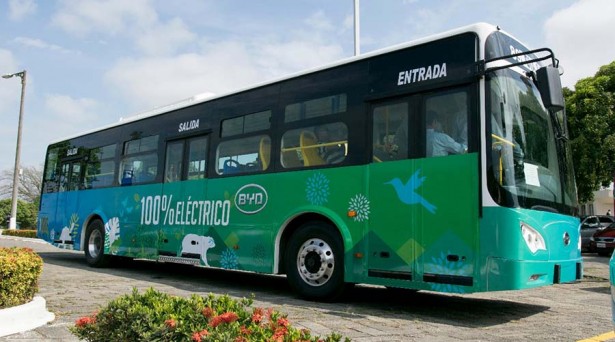 BYD_Guayaquil_1