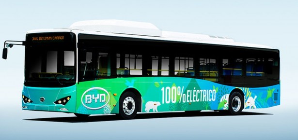 BYD_Guayaquil_2