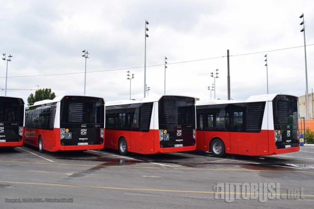 Da li Beograd ima tačno propisanu kolor šemu autobusa? © Stefan Nikolić