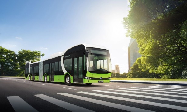 byd_18m