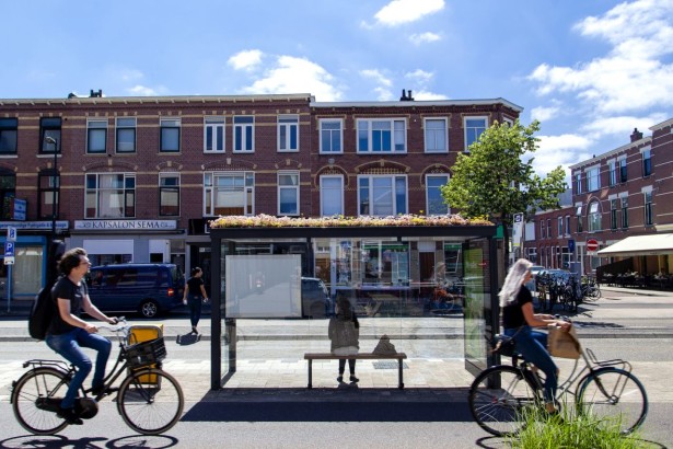Utrecht_bee-friendy_station_03