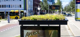 Autobuska stajališta sa zelenim krovom za pčele u Utrehtu