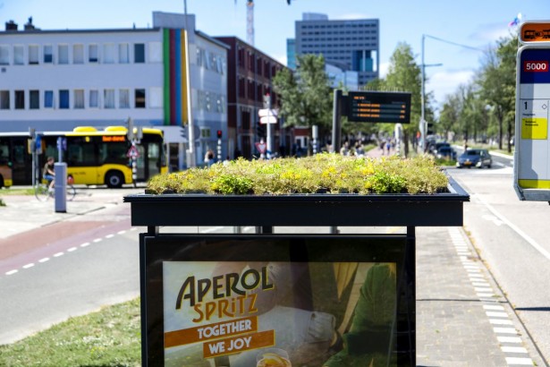 Utrecht_bee-friendy_station_04