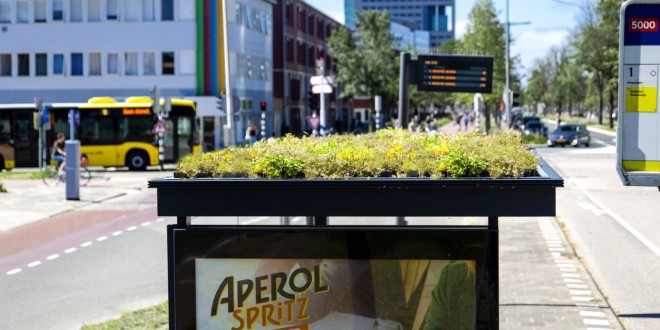 Autobuska stajališta sa zelenim krovom za pčele u Utrehtu