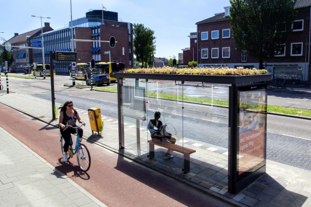 Utrecht_bee-friendy_station_06