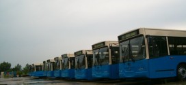 Novi Sad ima para samo za 5 novih autobusa