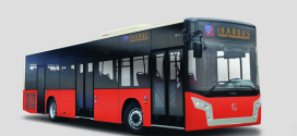 Beograđani izglasali novu boju autobusa